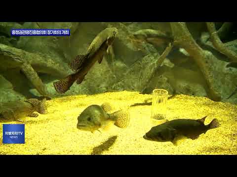 충청권관광진흥협의회 정기회의 개최