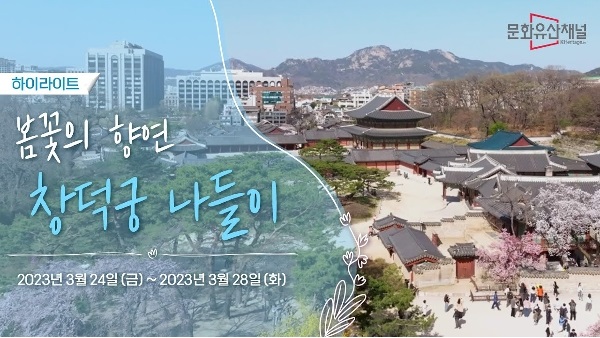 [창덕궁 봄꽃 개화 현장] EP.1 창덕궁 봄꽃놀이