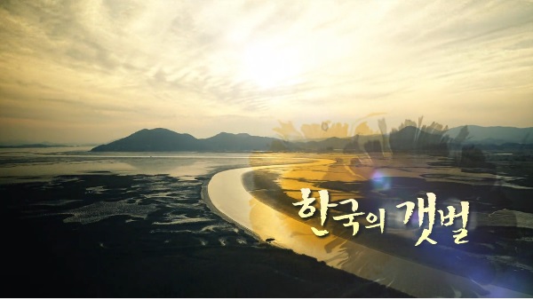 새들의 천국 서천 갯벌