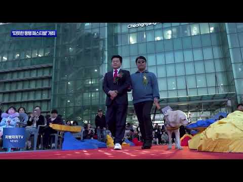 동대문구, ‘따뜻한 동행 페스티벌’ 개최