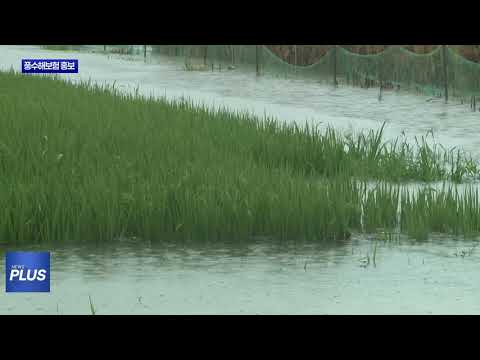 평창군, 재해보험 가입 집중 홍보