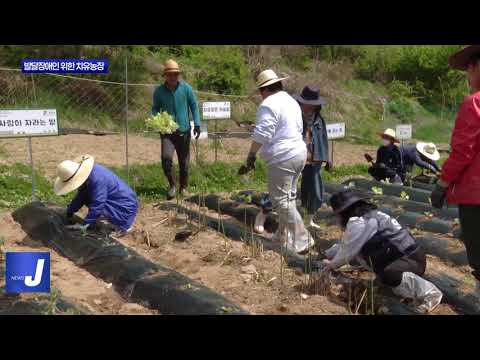 평창군, 발달장애인 위한 ‘치유농장’ 운영