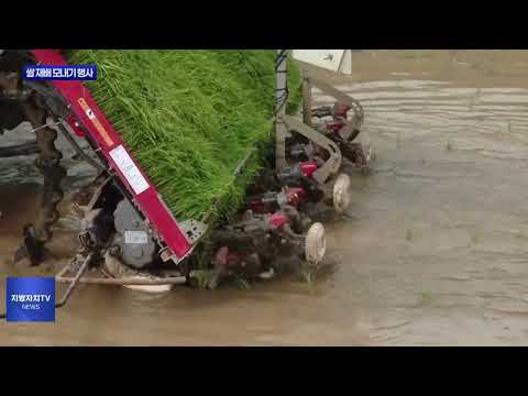 평창군, 친환경 쌀 재배 모내기 행사 진행