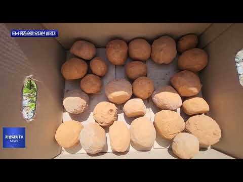 평창군, EM 흙공으로 오대천 살리기