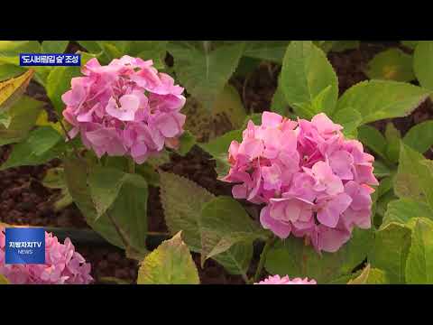 안성시, ‘도시바람길 숲’ 조성