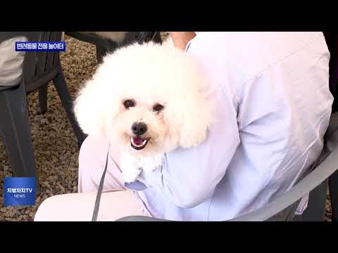 안성시, 반려동물 전용 놀이터 마련