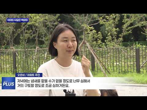 나주 아파트 백로떼 몰려…소음·악취 피해