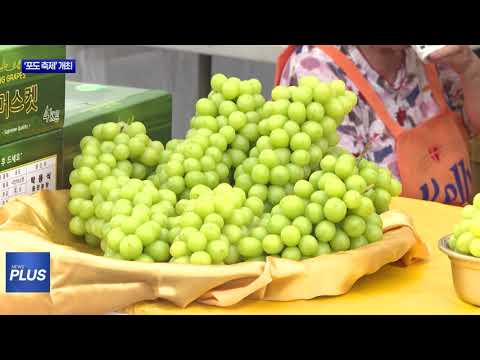 안성시 ‘포도 축제’ 개최