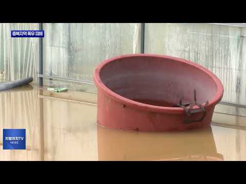 충북지역 폭우 피해 신고 접수↑