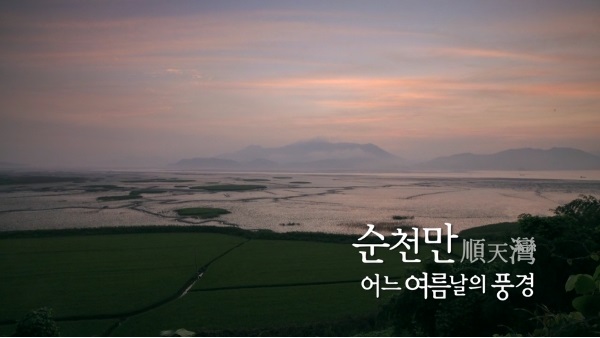 순천만, 어느 여름날의 풍경