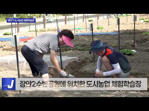 동대문구 하반기 도시농업 체험학습장 개장
