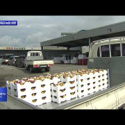 전남 무화과 농업 급성장… 소득 1천 억 기대