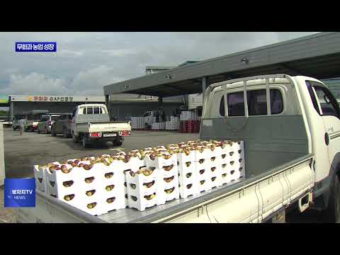 전남 무화과 농업 급성장… 소득 1천 억 기대