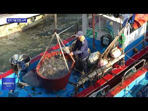 보령시, 꽃게 금어기 해제…가을 조업 시작