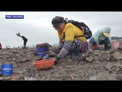 보령시 무창포 신비의 바닷길 축제