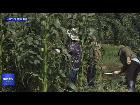 충북도 수확기 대비 인력 지원 총력