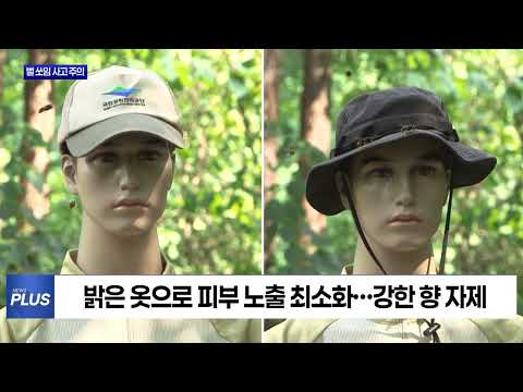 추석 앞두고 벌초·성묘...벌 쏘임 사고 주의