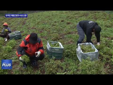 횡성군 외국인 계절근로자 수요 신청 접수