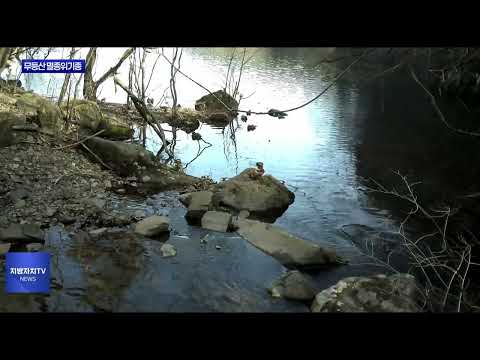 멸종위기 수달·담비·삵…무등산서 포착