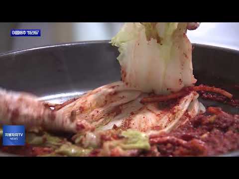 여름배추 ‘하라듀’, 고랭지 배추 대안 될까?