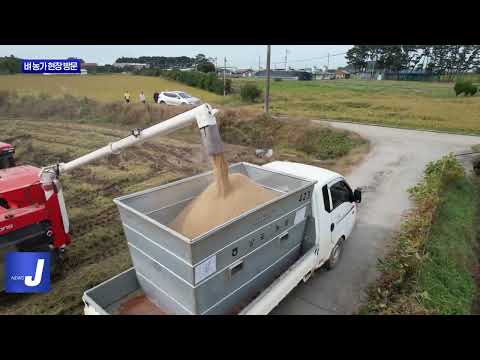 김동일 보령시장, 벼 수확기 농가 현장 방문