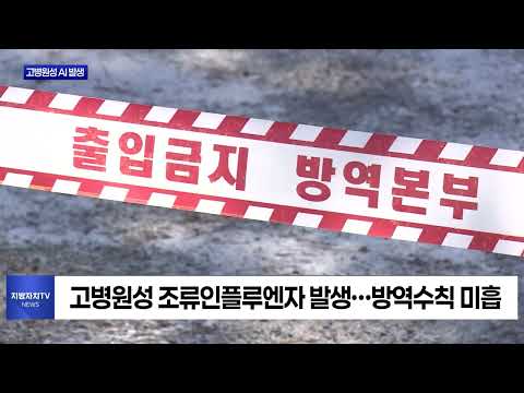 광주서 고병원성 AI 발생…위기경보 ‘심각’