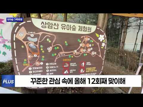 제12회 마포 유아숲 가족축제 개최