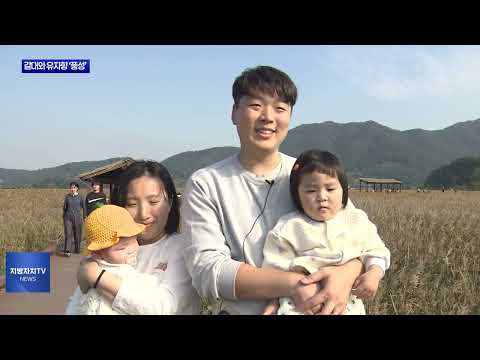 갈대와 유자향, 가을축제 풍성