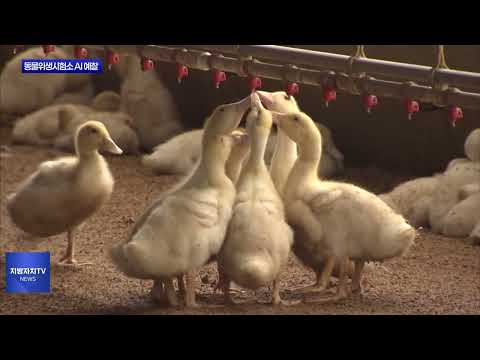 충북 동물위생시험소, AI 예찰 강화