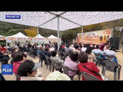 가을의 절정, 동 축제로 물든 마포