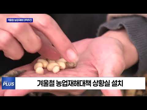 충북도, 겨울철 농업재해 종합대책 추진