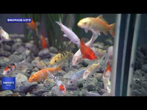 충북아쿠아리움 관람객 50만 명 돌파