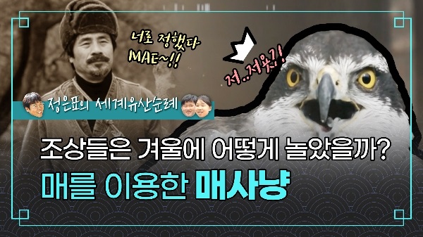 정은표의 세계유산순례 - 겨울철 사냥놀이, 매사냥