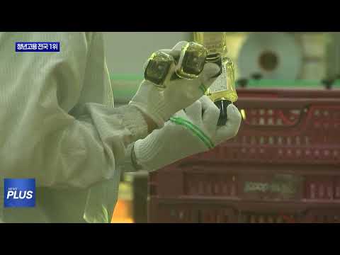 충북 청년고용 전국 1위, 인구 순유입 전환