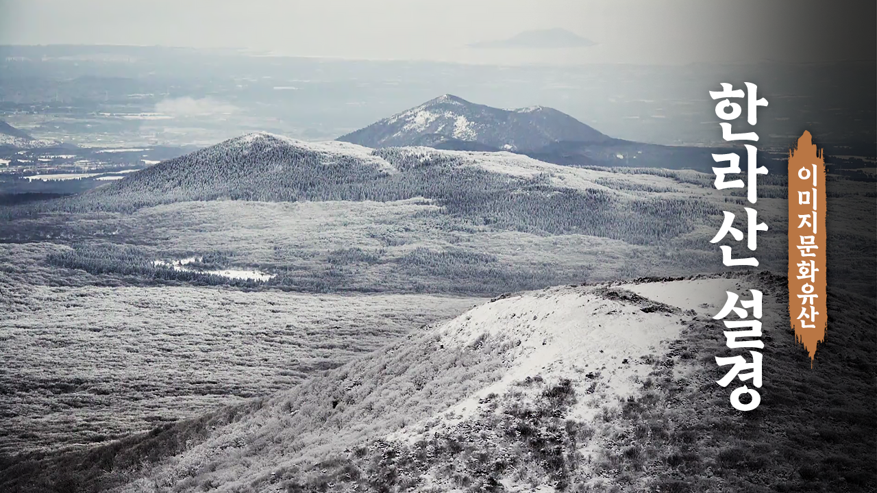 지화장, 종이꽃을 만들다