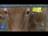 가축전염병 선제적 방역망 총력 가동