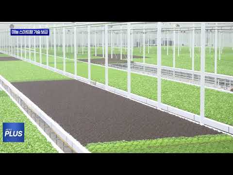 충북농기원, 마늘 스마트팜 기술 농가 보급