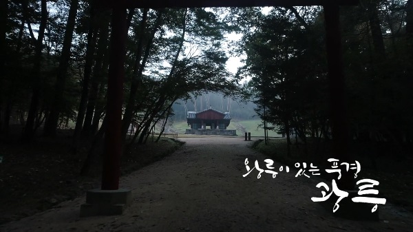 왕릉이 있는 풍경, 광릉