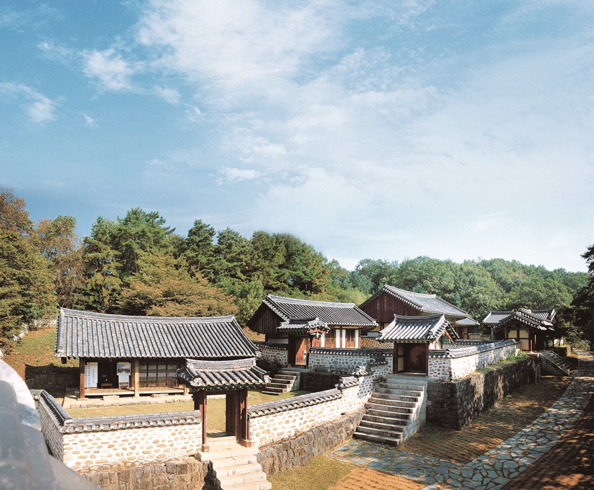 임진강을 따라 걷는 시간여행…벚꽃 터널 끝에서 만나는 ‘한반도의 기억’