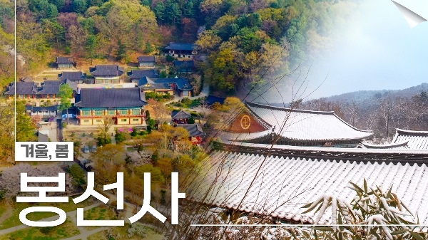 봉선사의 계절을 담은 사찰음식(봄,겨울)