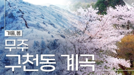 천상의 쉼터, 무주구천동 계곡(봄,겨울)