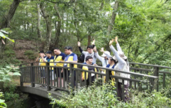 서울대공원 ‘치유의 숲’, 서울시 첫 공립 승인…10년 만에 프리미엄 공간으로 대전환