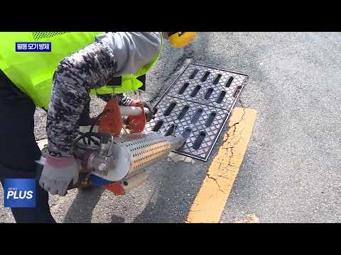 횡성군, 모기 매개 감염병 선제적 방제 총력