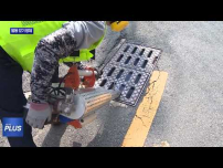 횡성군, 모기 매개 감염병 선제적 방제 총력