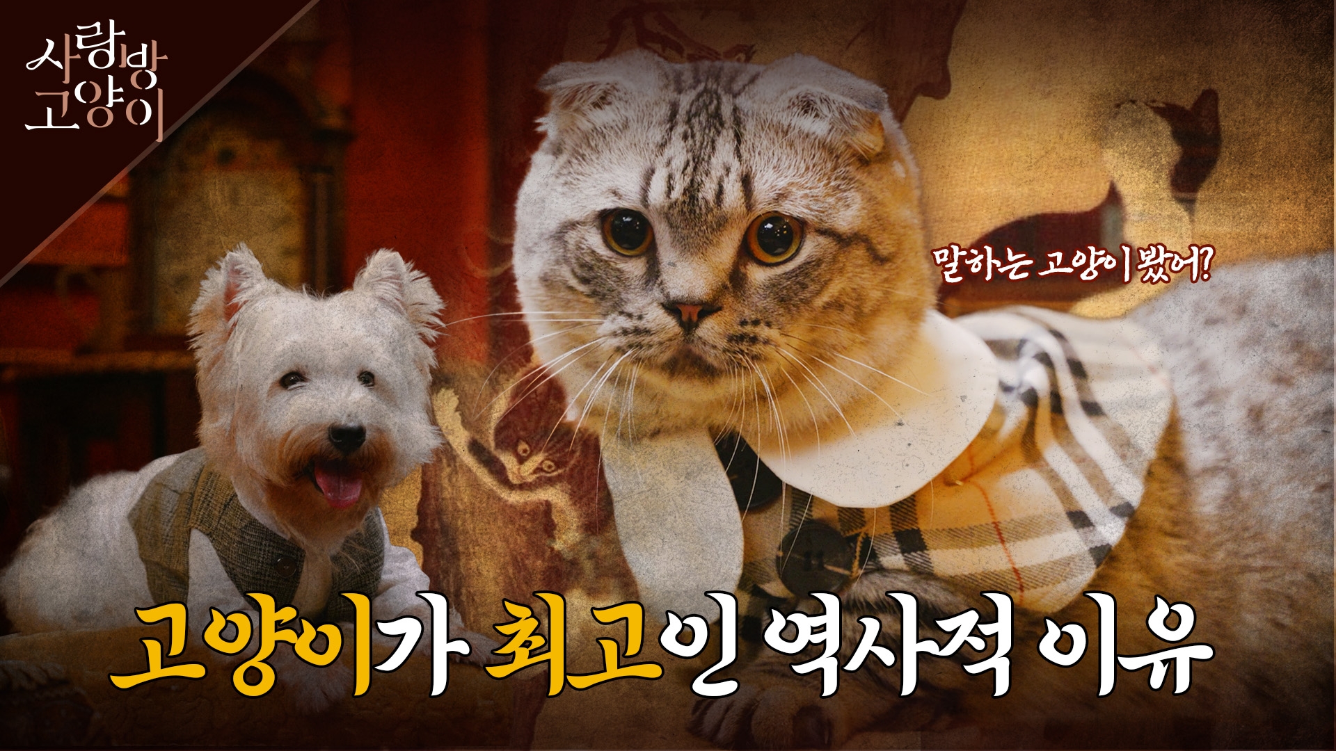 고양이 이야기 한번 들어볼래? : 우리나라 역사 속 고양이 이야기