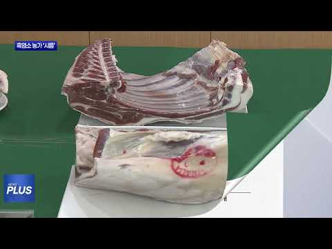 수입산 공세에 흑염소 값 '반토막'...축산 농민 시름