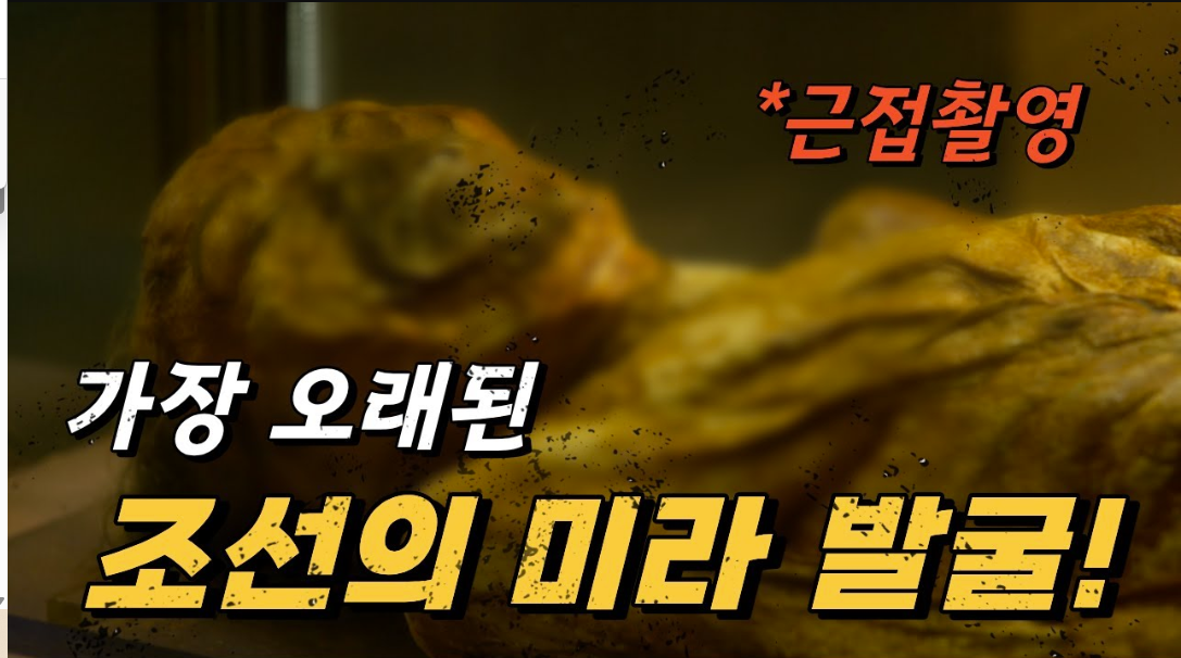 해부 없이 밝혀낸 600년 전 죽음의 비밀 학봉장군 미라