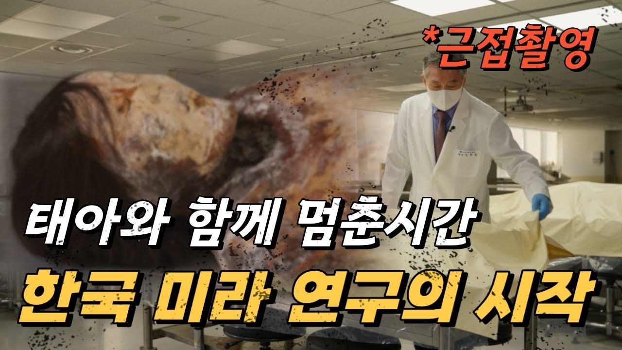 태아와 함께 잠든 여인 세계 최초 임산부 미라의 비밀
