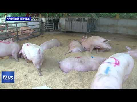 보은군 농·축산업 육성 본격화