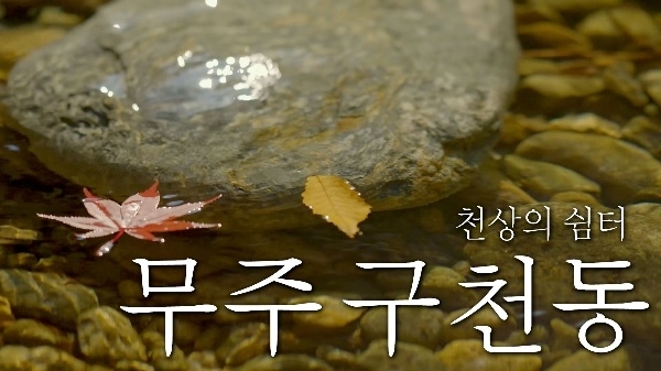천상의 쉼터, 무주구천동 계곡의 사계